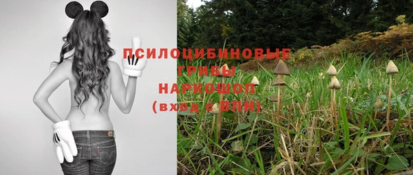 каннабис Баксан