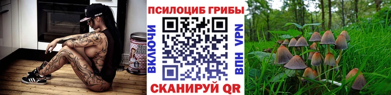 Псилоцибиновые грибы ЛСД Белозерск